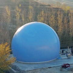 思嘉產品和服務
覆蓋全球上百個國家和地區