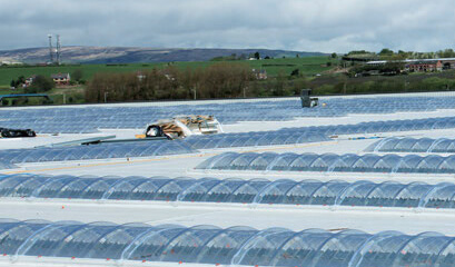 思嘉產品和服務
覆蓋全球上百個國家和地區