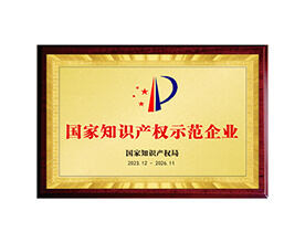 國家知識產權示范企業