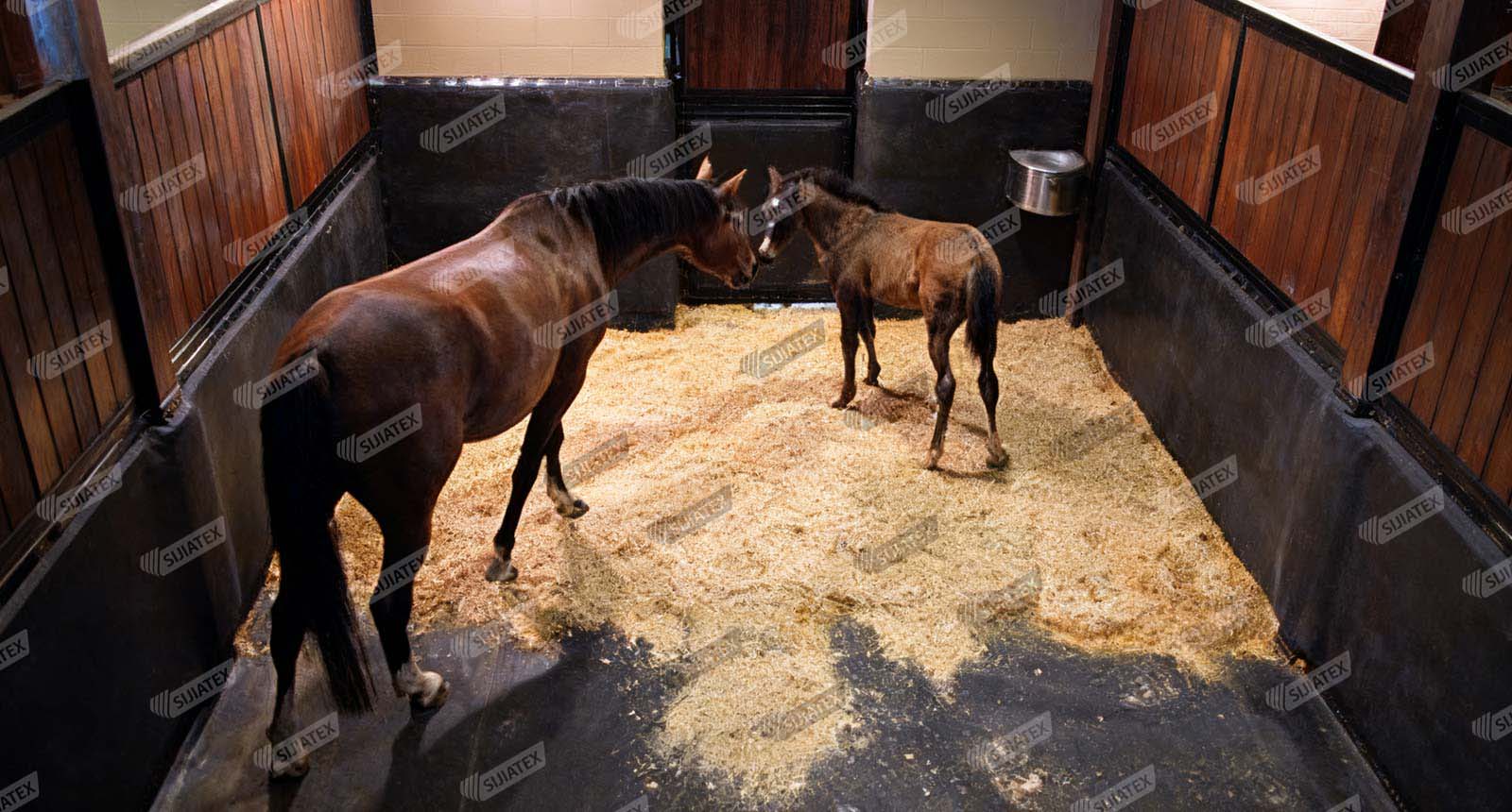 農(nóng)業(yè)生產(chǎn)